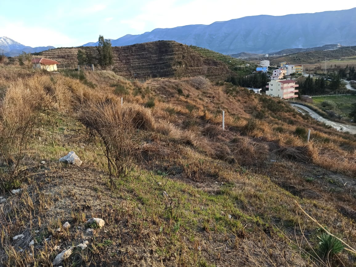 “Pemtore” e ndodhur ne Radhime Vlore, me siperfaqe 1750 m2 (Ankandi i trete)